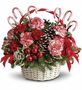 Florist Southampton PA